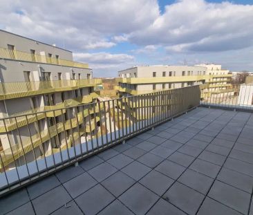 NEU - Erstbezug-Wohnung mit riesige Terrasse 45 m2 - Photo 2