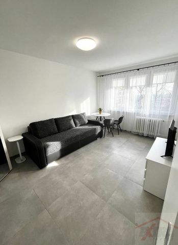 kawalerka do wynajęcia, Centrum, ul.Potulicka (438744) - Photo 3