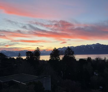 Appartement meublé 1 pièces à Lausanne - Photo 1