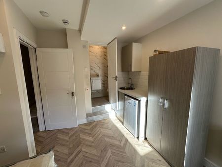 Studio Flat, Durban Road, N17 - Photo 4