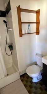 Location Appartement 1 pièce 26m² DIJON 21000 - Photo 3