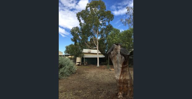 Fully Furnished Historic Miners Cottage - Photo 1