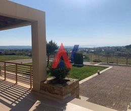 Μονοκατοικία για ενοικίαση - Θέρμη, - Φωτογραφία 6