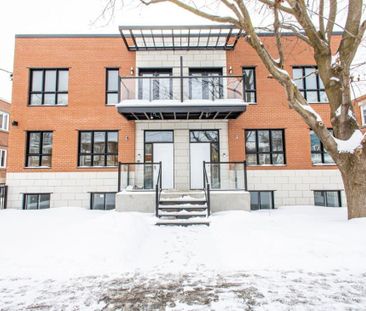 10772A Av. De Lorimier, H2B 2J5, Montréal - Photo 2