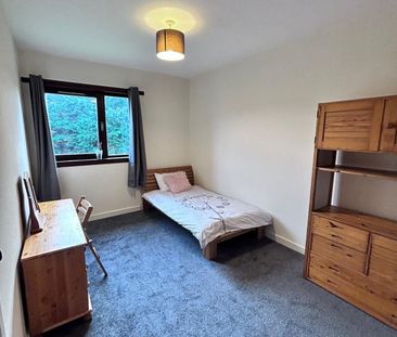 3 bedroom apartment to rent - Photo 5