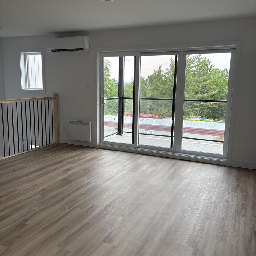 Immeuble 192 Allée Albert-Knight Magnifique 4 1/2 - Magog - Photo 1