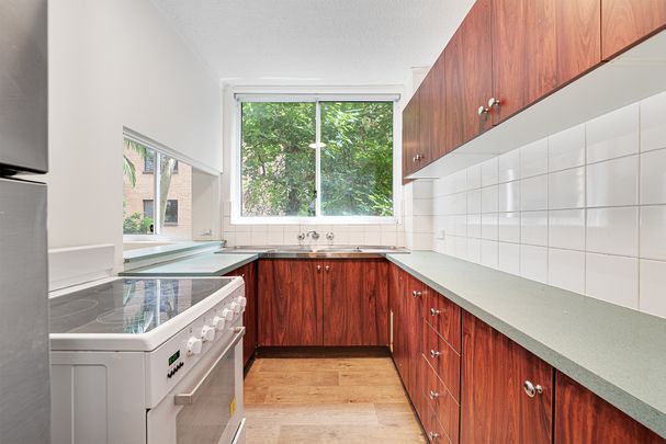 2/116 Mount Street, Coogee NSW 2034 - Apartment For Rent | Domain - Photo 1