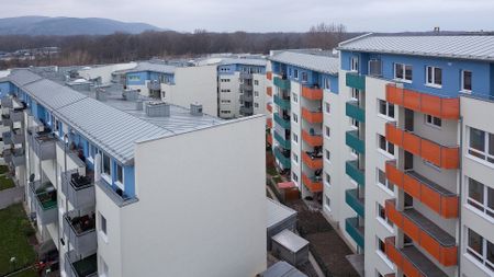 KORNEUBURG XVI/2 - Foto 4