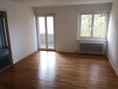 Apartment - Photo 3