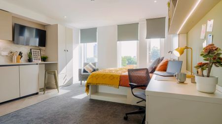 Bronze Studio Plus - Photo 5