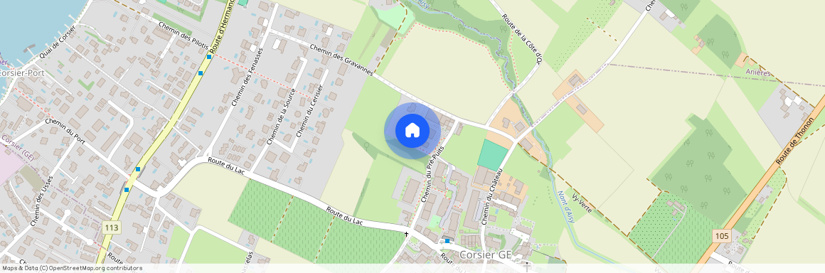 1246, Corsier GE, Chemin Du Pré-Puits, 15b