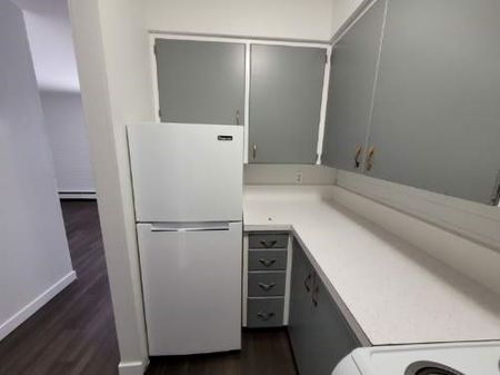 1 BDRM/1 BATH - 813 IDYLWYLD DR N - Available Now *DECEMBER RENT SPECIAL!* - Photo 5