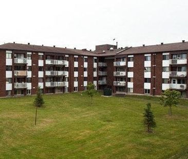 Appartement 1 chambre à louer Gatineau-Hull à Village Cite Des Jeunes - Photo 4