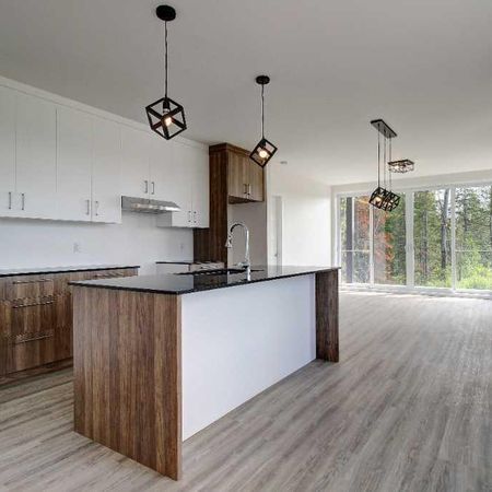 Spacieux 3 1/2 à louer à Sherbrooke - Photo 4