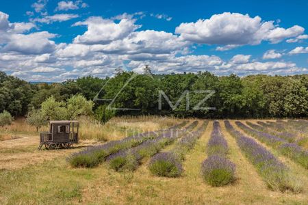 Ménerbes - Magnifique demeure provençale avec tennis - Photo 4