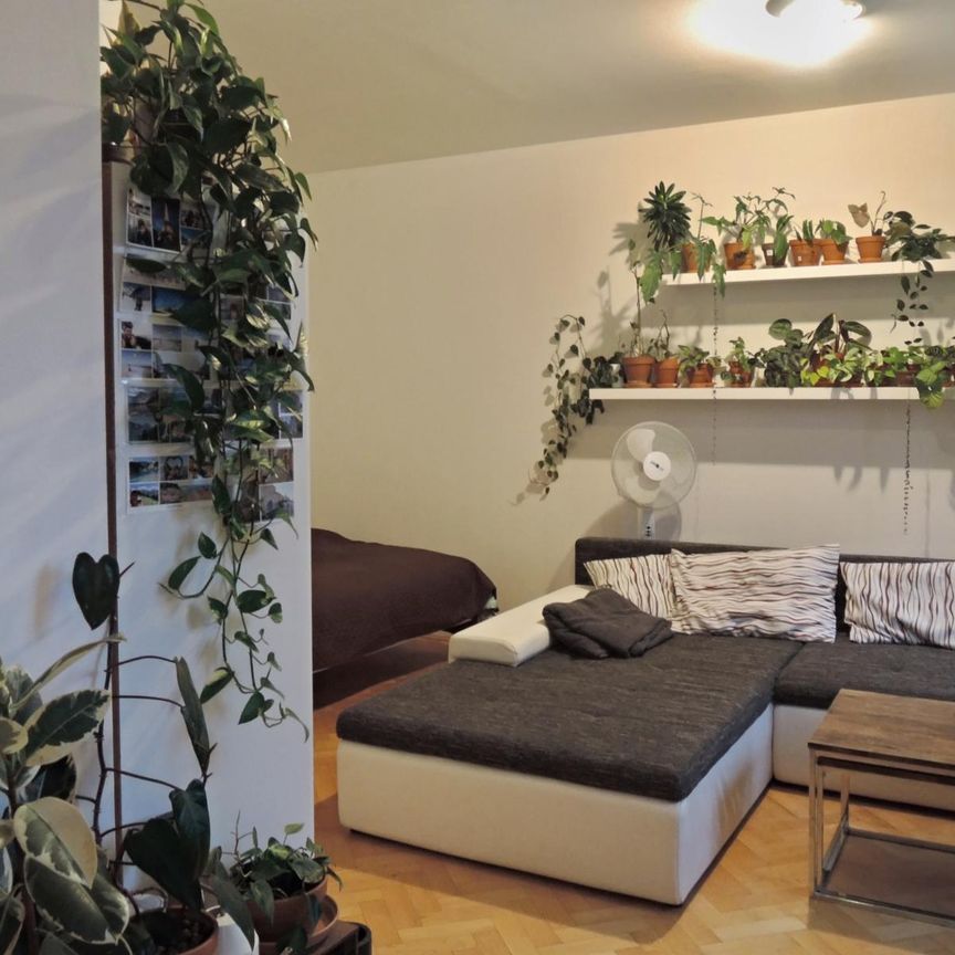 Pronájem bytu 1+kk a garsoniéry 42 m², Příční , Brno - Photo 1
