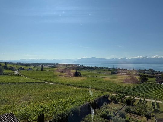 Joli appartement au coeur des vignes - Photo 1