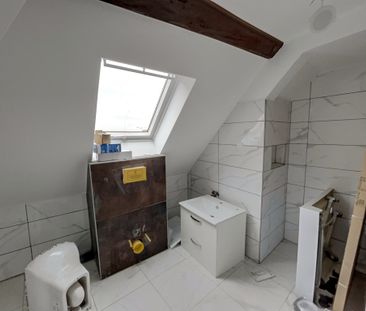 Location Appartement 1 pièce 22m² SELESTAT 67600 - Photo 3