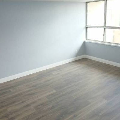 Large 1 Bedroom Apartment - Photo 4