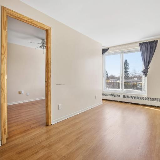 Promotion : 1 mois gratuit / 3 ½ bien éclairé - Photo 1