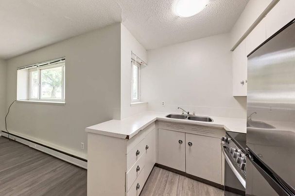 Renovated Suite - 1 Bedroom - Photo 1