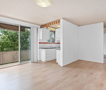 Conveniently Located Modern Apartment - Photo 1