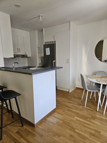 Vita Liljans väg, Skärholmen - Photo 2