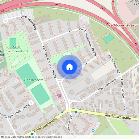 Carl-Sonnenschein-Straße 15, 65936, Frankfurt Am Main