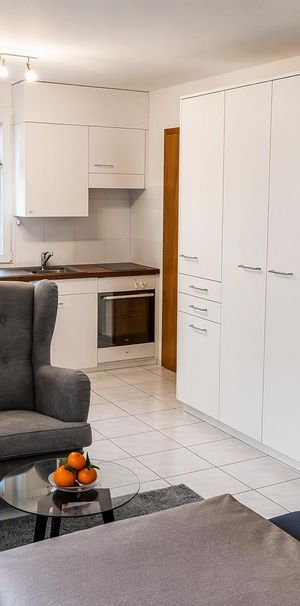 Charmante 1.5-Zimmer-Wohnung mit Terasse in Domat/Ems (ne - Foto 1