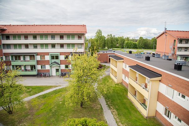 Ankarskatavägen 87 A, 94134, Piteå - Photo 1