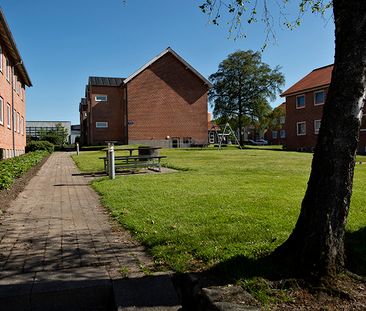 Thøger Reenbergs Vej, 2, ST.TH., 8800, Viborg - Foto 6