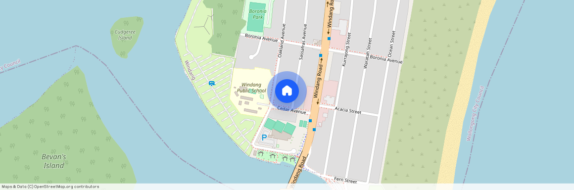 44 Sassafras Avenue, NSW 2528, Windang