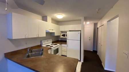 306-3215 Cowichan Lake Road - Photo 4