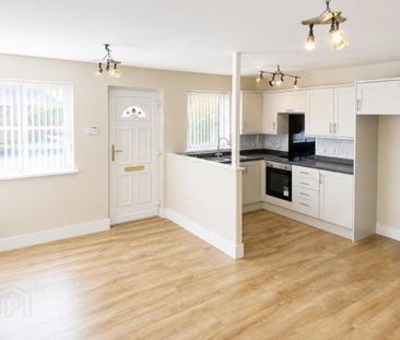 26 Whitethorn Brae, Newtownards, BT23 8EX - Photo 4