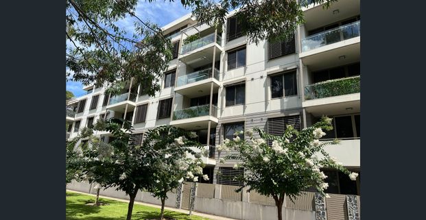 Beautiful North Facing Designer Apartment - Photo 1