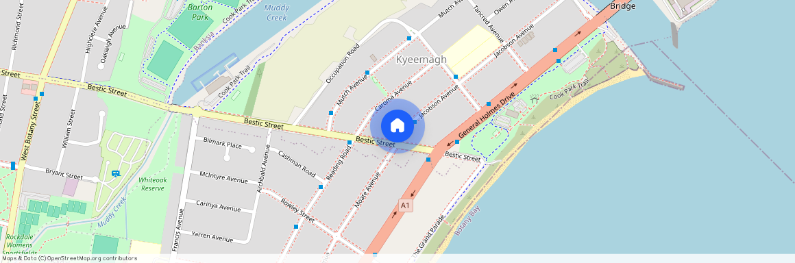 156A Bestic Street, NSW 2216, Kyeemagh