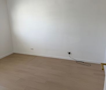 Daisy Hill - Photo 3