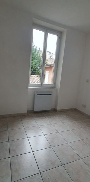 Location Appartement 1 pièce 25m² CONDRIEU 69420 - Photo 1