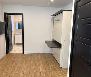 Renovated and Semi-Furnished Studio, available now - Photo 1