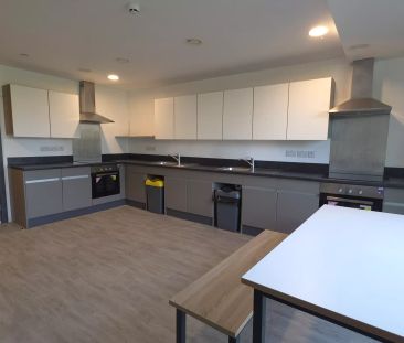 Large High Double Studio - Photo 5