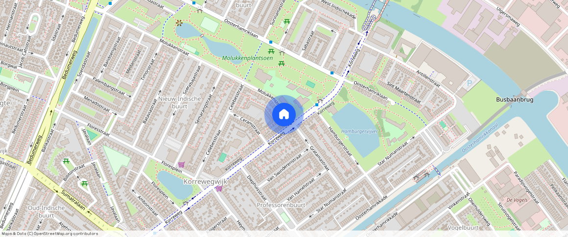 Molukkenstraat **, 9715 NV Groningen