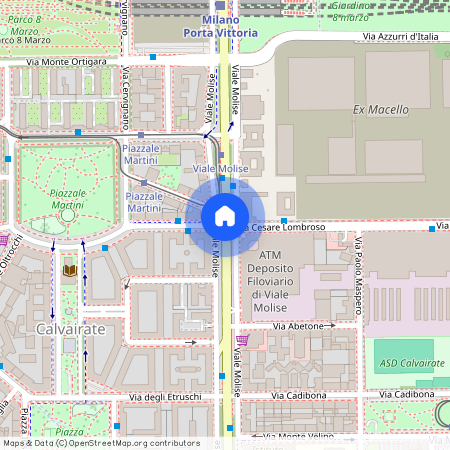 Viale Molise, Milan, Lombardy 20137