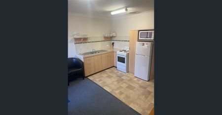 Well Located Modern 2 x 1 Fully Furnished Unit - Photo 5