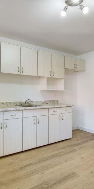 3 1/2 ou 4 1/2 rénovés, Ile-Perrot, Dispo maintenant ! 1100$ ou 1350$ - Photo 1