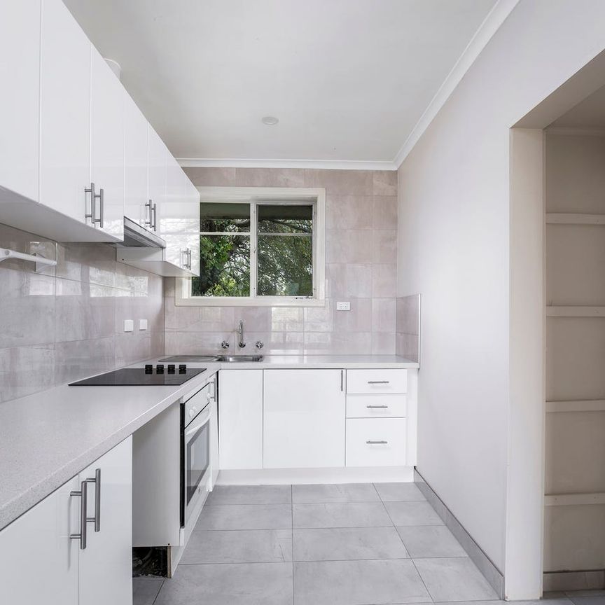 EASY LIVING AT EUMERALLA - Photo 1