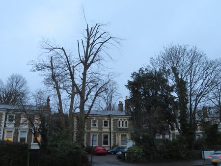 Room in a Shared Flat, Kirkdale, SE26 - Photo 5