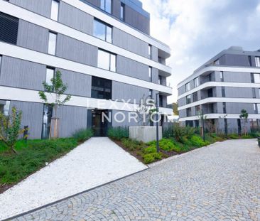 Apartment for rent, 1+KK - Studio, 29m - Photo 6