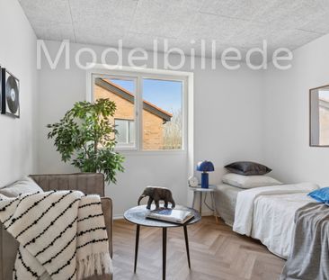 Fjerbregnevej 105 - Photo 5