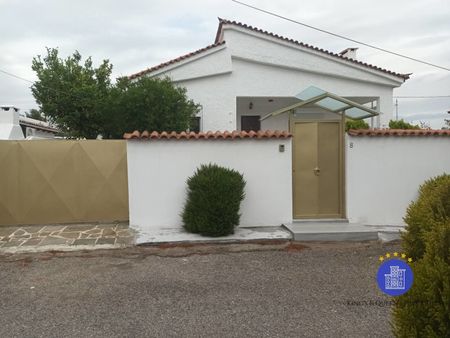 Μονοκατοικία για ενοικίαση - Σπάτα - Photo 5