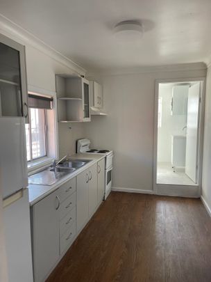 36a Norton Street, Leichhardt NSW 2040 - Apartment For Rent | Domain - Photo 1